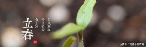  【结出来】今年双春年，俗语“一年两个春，带毛的贵如金”，老话还在理吗？