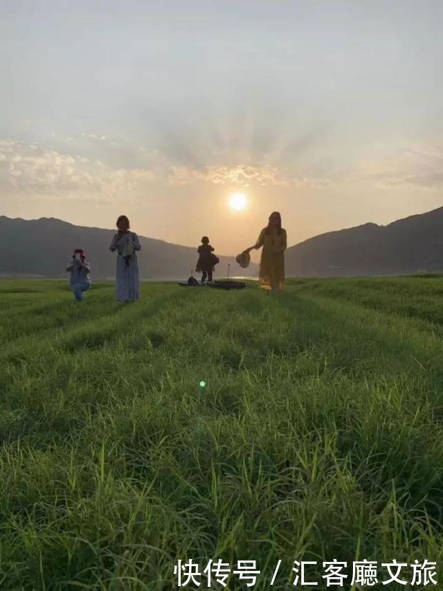 “五一”重庆慢时光，木洞10万㎡格桑花开，孤岛绿草成海！