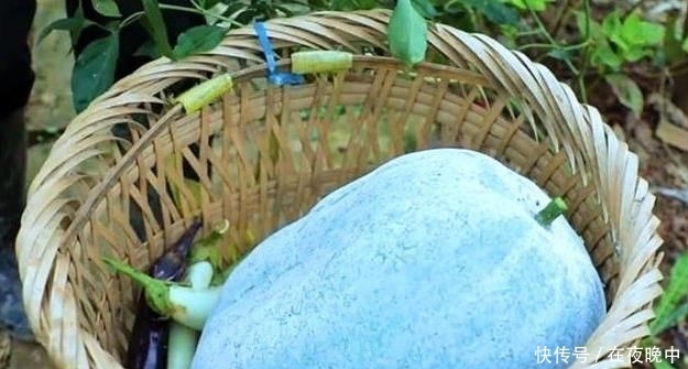 食物|李子柒花园有多有钱?冬瓜可以装在篮子里,辣椒可以用来插花