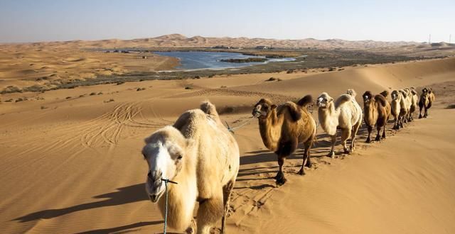 世界沙漠分布图: 哪个国家沙漠化最严重? 世界十大沙漠中国占两个