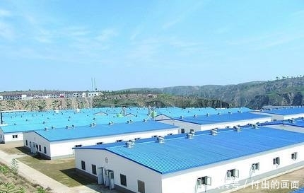  【养猪场】建造一座能养500～1000头猪的养猪场需要多少成本？