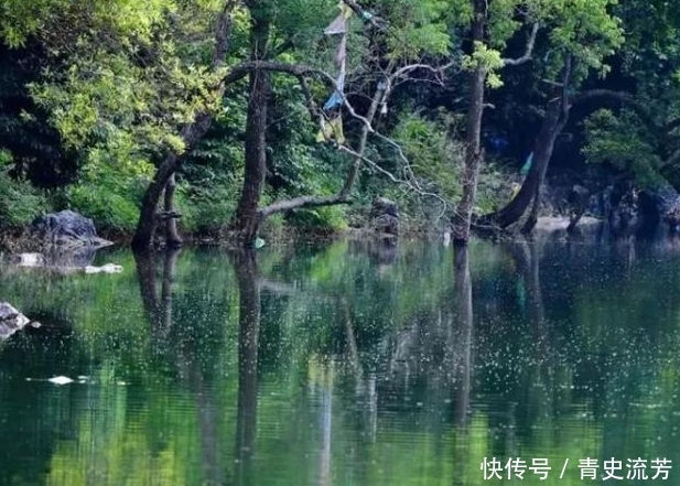 广西的神秘天池，池里的鱼从不上钩，周围都是树木池中却无叶