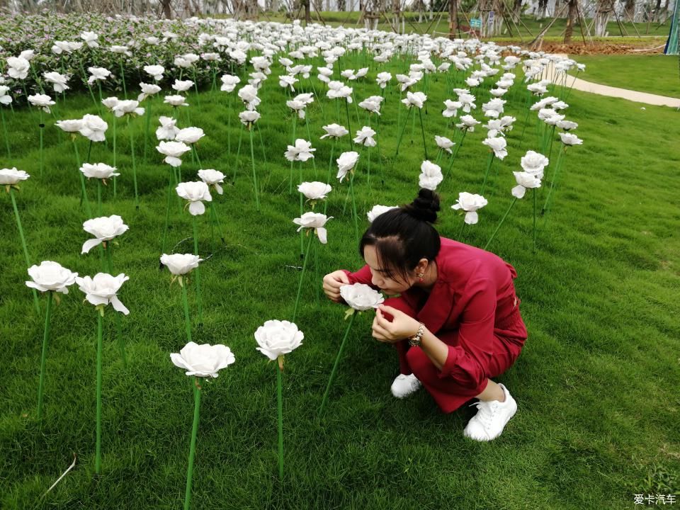 特别:十里春风,打卡滨江公园