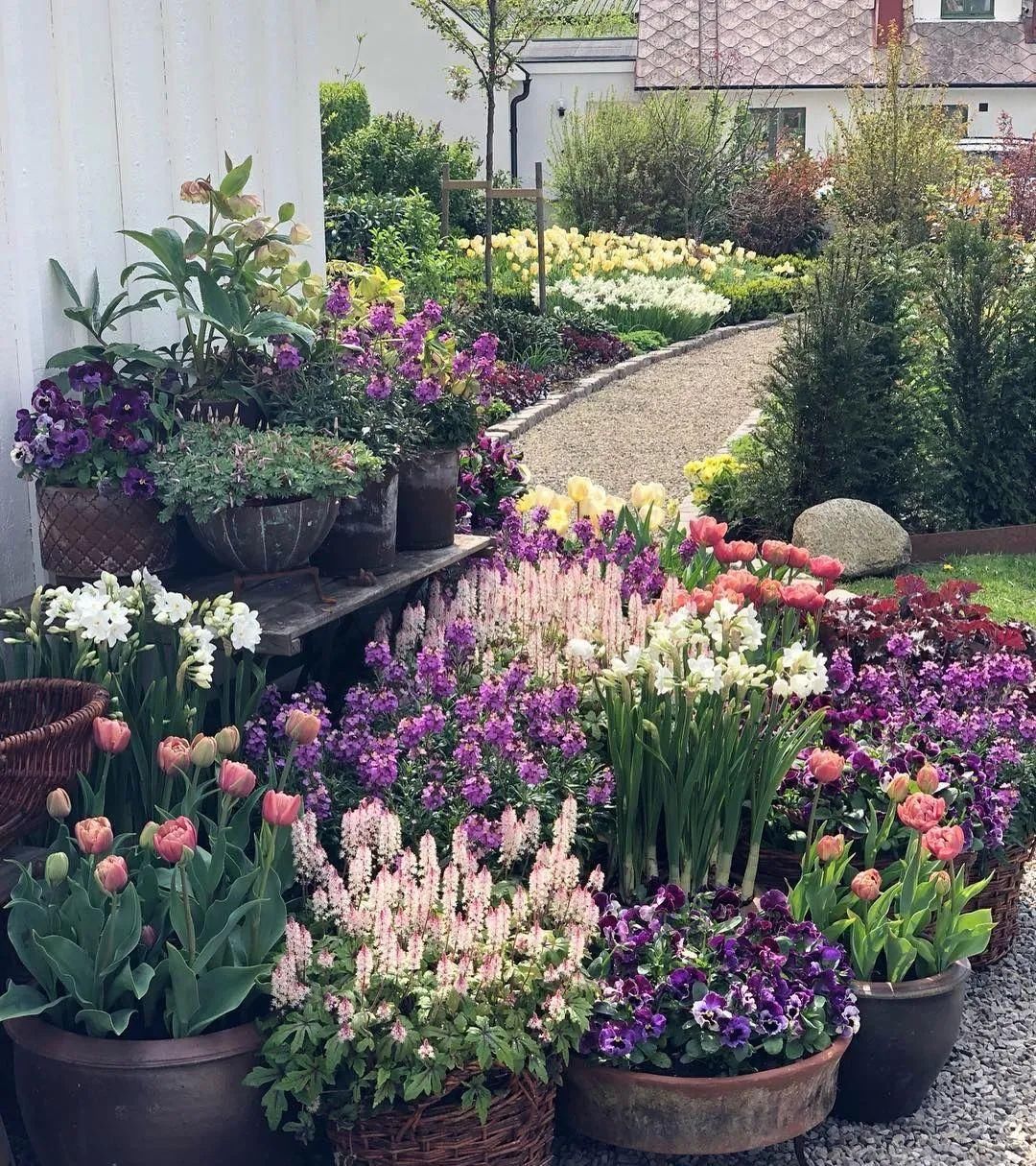 『植物』庭院花园花境设计——花境建造准备!