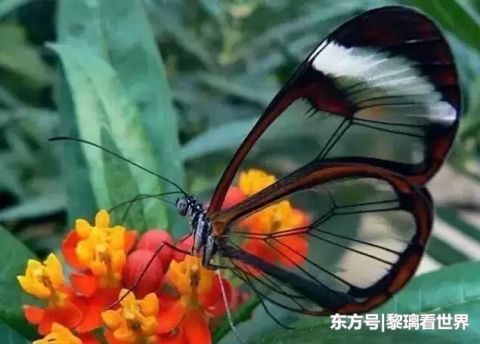 全球9大奇观，美到发狂令人窒息