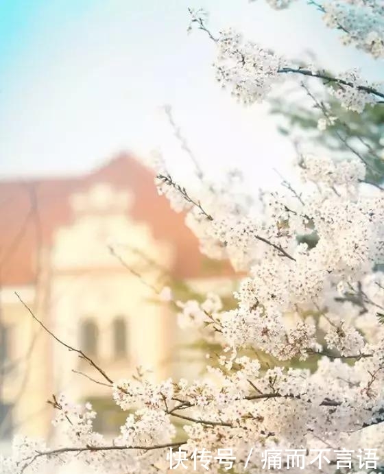 开学了,去青岛最美大学去逛一逛吧,个个堪比5A级景区