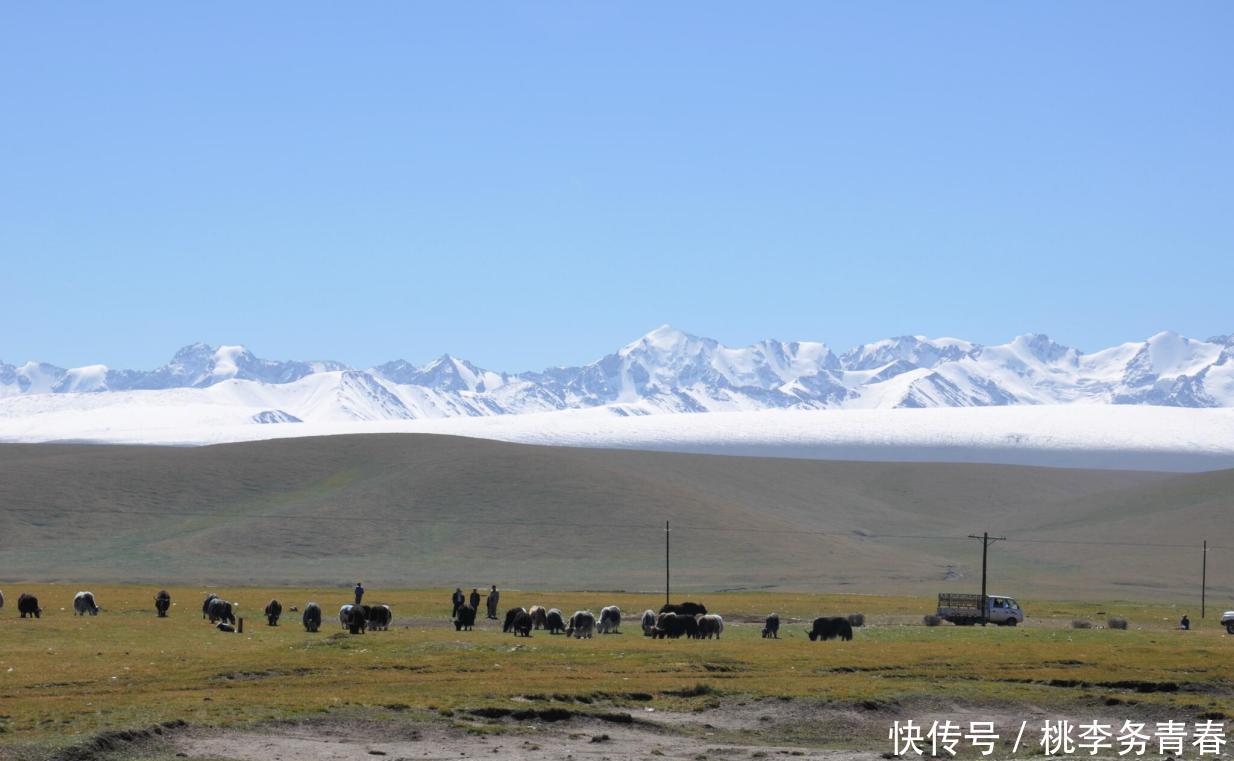 跟朋友一起自驾游，除了过路费与加油费，还有“这项费用”需要注