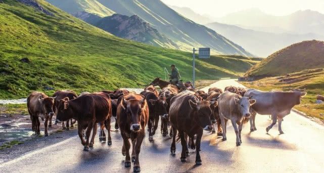  中国■中国最热的4座城市，重庆只排第2，第1名地表温度82.3度！