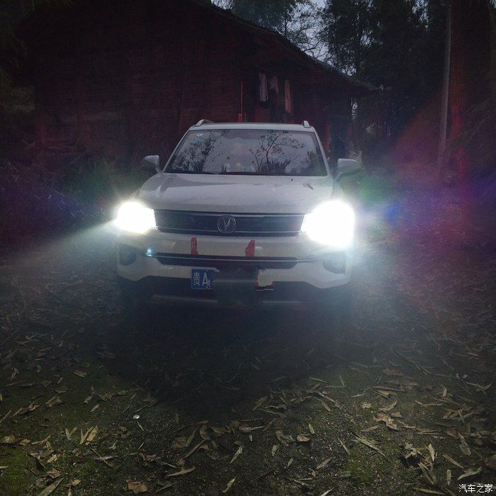 老司机看不了了啊