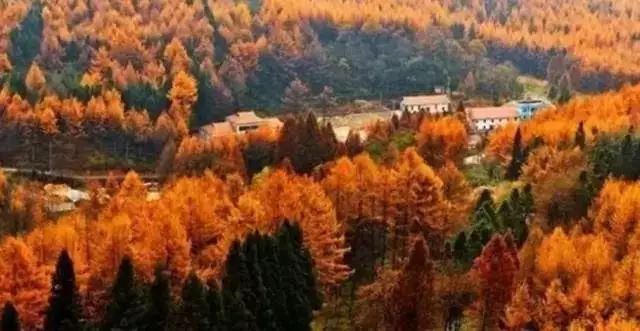 中国境内居然隐藏了一个旷世仙境，连外国人都被折服