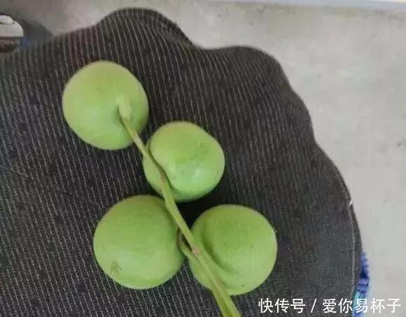  「椅子」大爷花10年“种椅子”，一把卖80000！这些文玩在家也能