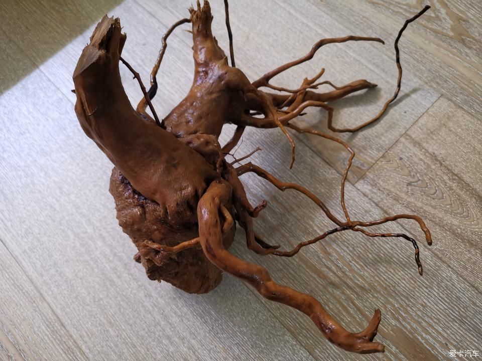  『水质』我家的花花草草第十四季-新手折腾水草缸