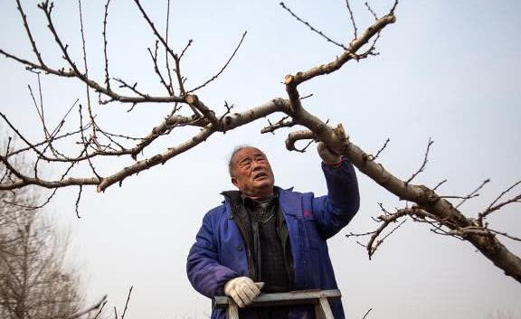 农村大爷20万建房60万卖给城里人，称不知该进城还是下乡