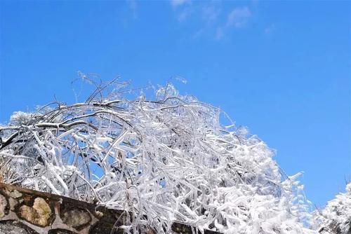 一大波美图正在向你袭来！鹰潭的雾凇让你一秒入仙境！