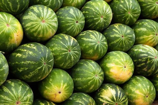 中国人吃掉了全世界70%的西瓜,可在美国不宜