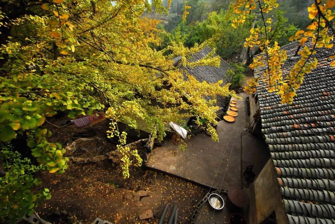 10个藏在深山人不知的古村落，却是世外桃源