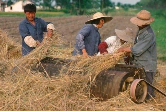  [有底]农村老人的担忧：10年后农村的地谁来种？看完心里有底了