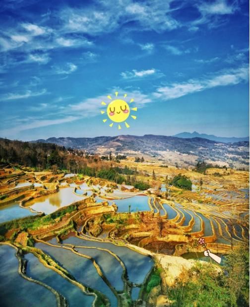 美过婺源！国内最适合全家游自驾赏花地，不收门票，美的鲜为人知