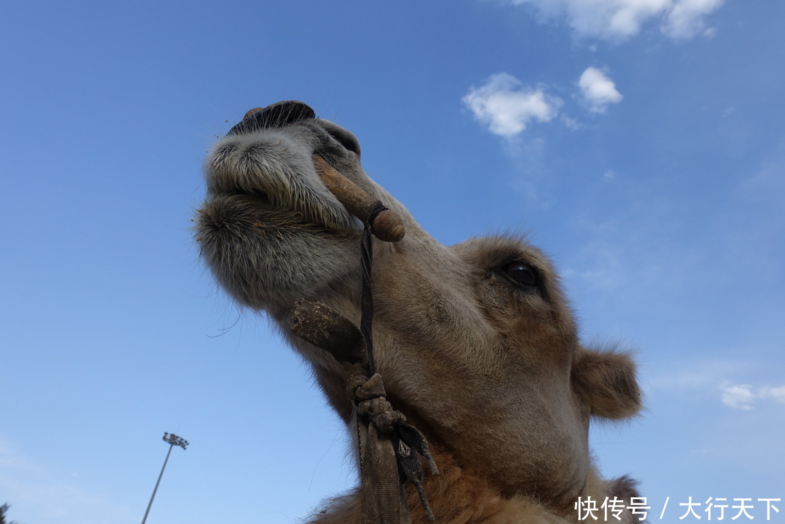  新疆@这个省份的面积相当于10个河南、16个江苏，不愧是“大新疆