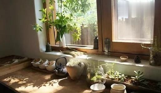  庭院：乡村的庭院，大家为什么这么喜欢