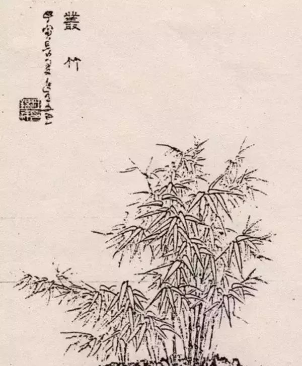 盆景艺术三十二式,强烈建议收藏!