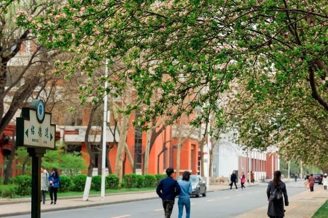 春天，中国最美10座大学，多想回去谈一场恋爱