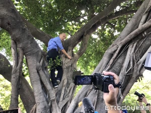 快讯／韩国瑜视察登革热“登上树梢”！飞爬3层楼高 底下惊喊：市