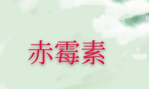  【子兰快速】赤霉素在君子兰上的妙用，夹箭的君子兰滴滴赤霉素，3天就抽箭