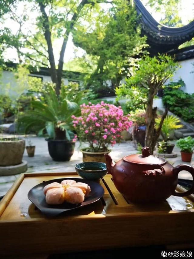  『生活』有一方小院，和你一起养花种草，这样就挺好