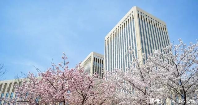 开学了，去青岛最美大学去逛一逛吧，个个堪比5A级景区