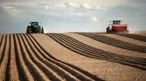  「被打」农村土地疯狂“退租潮”的背后，有多少专家被打脸