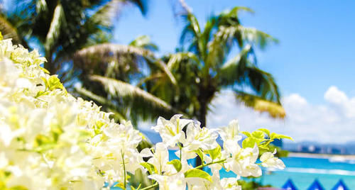  「大有前途」四川最“具有潜力”的城市，不是绵阳也不是巴中，