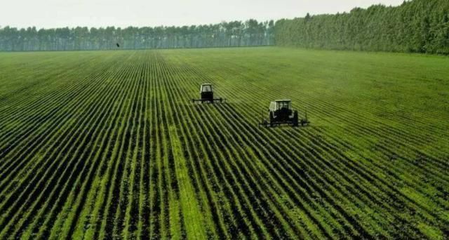 2019年，农村土地将会有两大补贴，最高金额可达每亩地1500元