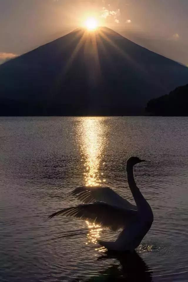 一生只拍一座山，这就是摄影师的坚持！