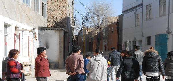 农村俗语“男不碰呋喃, 女不碰吡啶”, 什么意思, 有何讲究