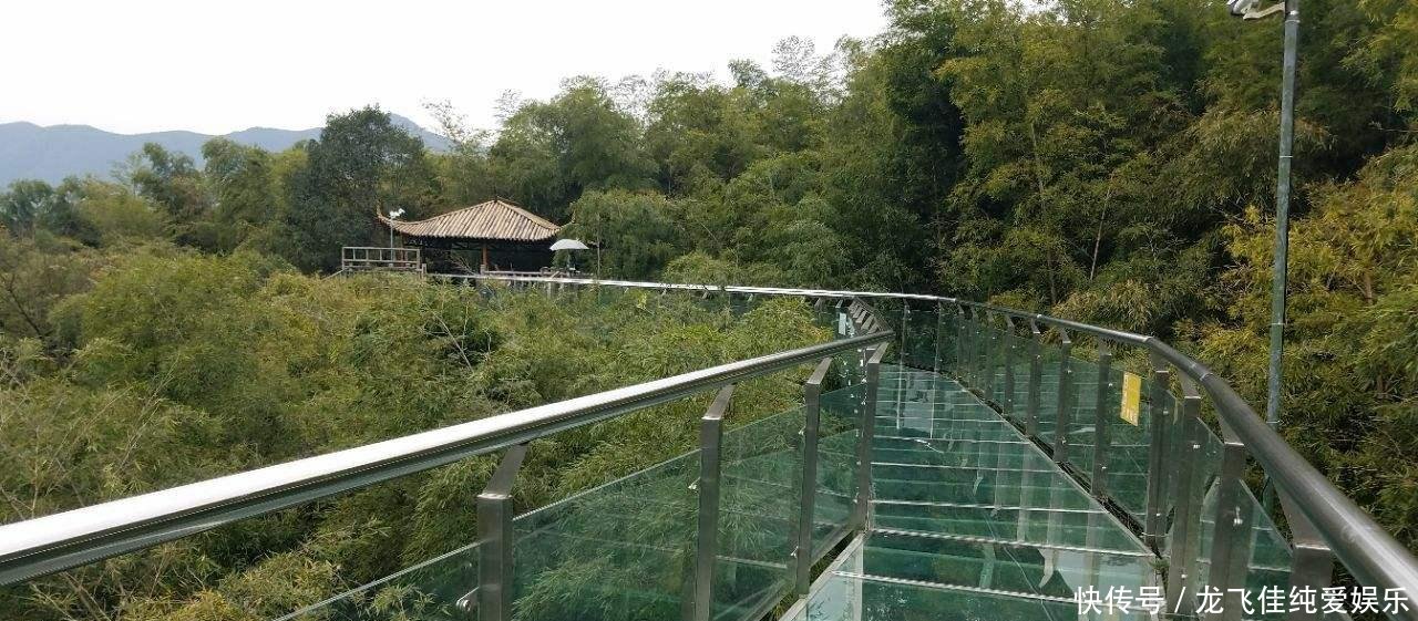 中国的超薄玻璃惊艳亮相，厚度仅为0.12毫米，美日自叹不如