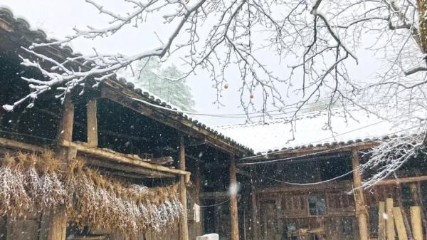 汉中雪景第二波!水墨丹青里的童话世界