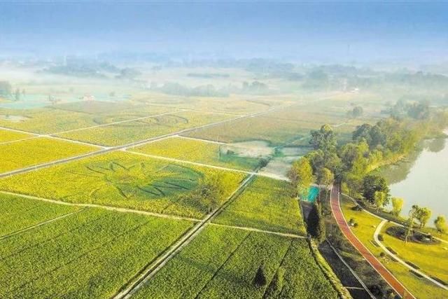 今明两年内完成县域、村域乡村振兴战略规划