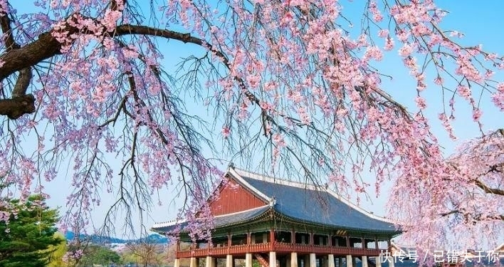 到韩国旅游时，看到当地的真实生活，游客表示后悔来到这里