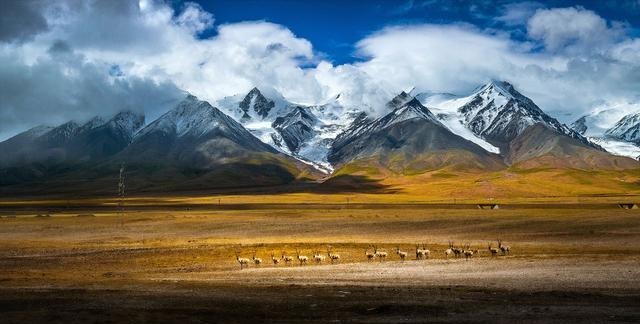 秋天已至，这十个美景不可不去