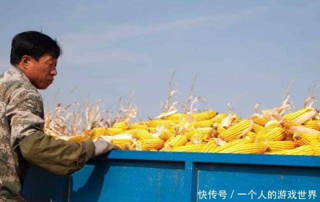 粮价突变19年补贴定不得超过300元亩！直接打卡！