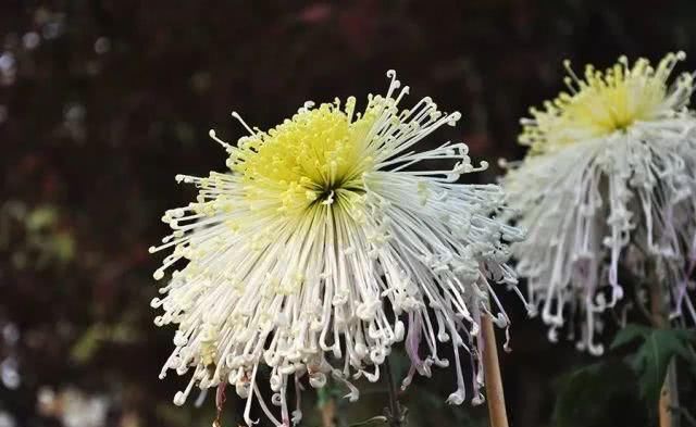  「重启」不能重启的2020，接下来的日子在天津要这样过！