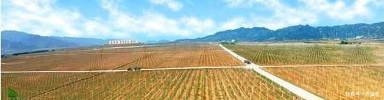  【世外桃源】朝鲜有个地方, 按构想建成一个“社会主义世外桃源