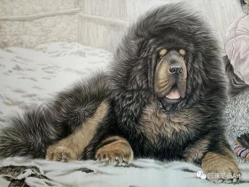 他笔下的这些细腻逼真的工笔画，让人叹为观止！