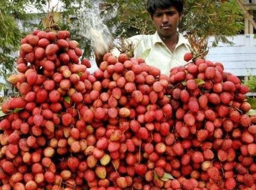 非洲贵族才能吃到的奢侈水果，中国人引进以后，如今却泛滥成灾！