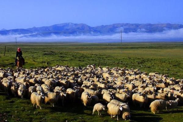 内蒙古与蒙古国有何区别？草原决定一切，差距不是一点
