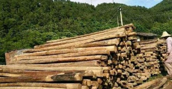  「屋梁」农村有人专门买旧房梁，一根100多，老农：这有啥用？答