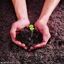 “谣言将止于此”！