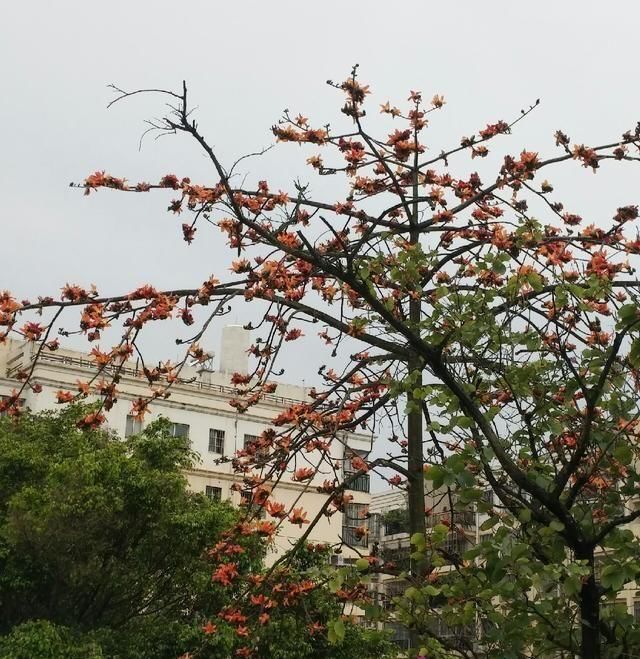  「鱼悦」雾里看花钓鱼忙，东风鱼儿把口开，鱼悦的一天