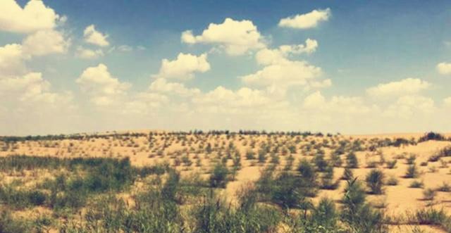 上亿用户在蚂蚁森林种树，马云做了件好事，现沙漠变成什么样了？